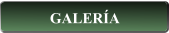 GALERÍA