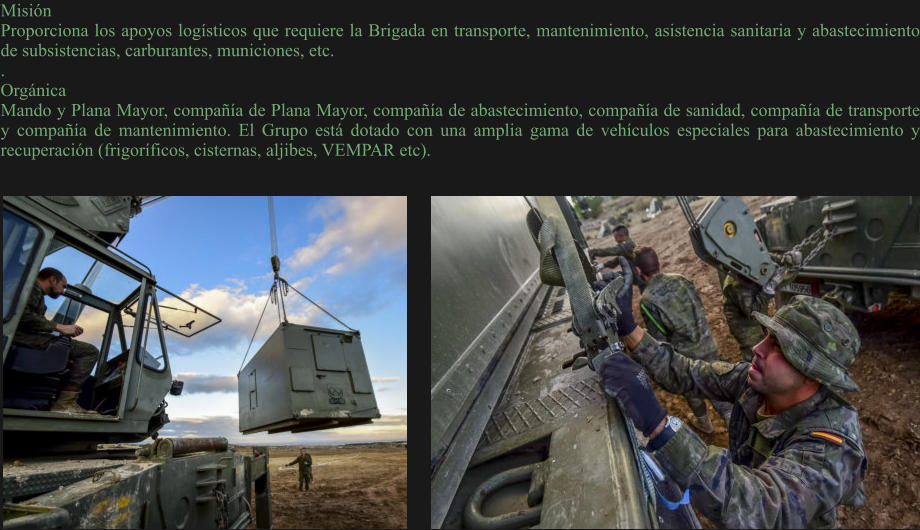 Misión Proporciona los apoyos logísticos que requiere la Brigada en transporte, mantenimiento, asistencia sanitaria y abastecimiento de subsistencias, carburantes, municiones, etc. . Orgánica Mando y Plana Mayor, compañía de Plana Mayor, compañía de abastecimiento, compañía de sanidad, compañía de transporte y compañía de mantenimiento. El Grupo está dotado con una amplia gama de vehículos especiales para abastecimiento y recuperación (frigoríficos, cisternas, aljibes, VEMPAR etc).